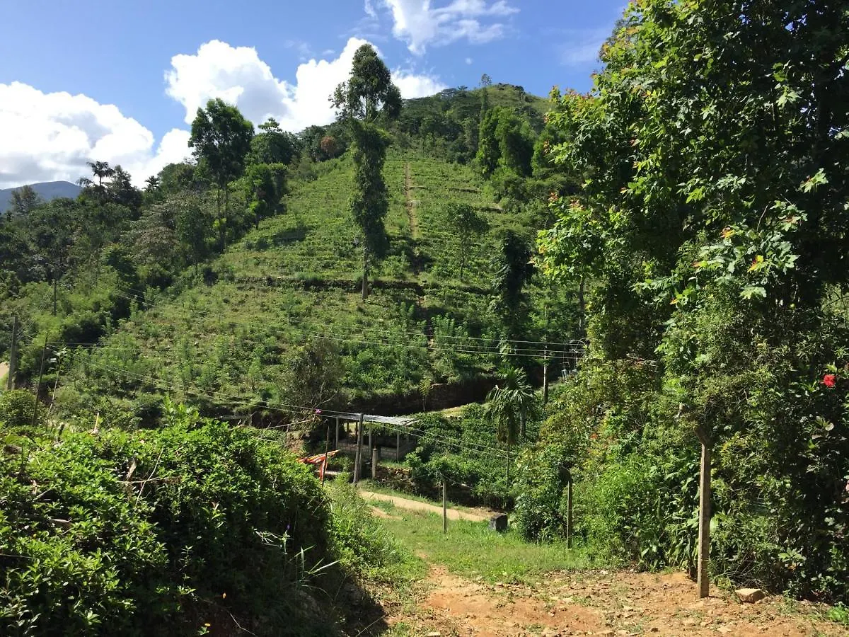 Rohana Estate Lodging & Camping Kandy 0*,