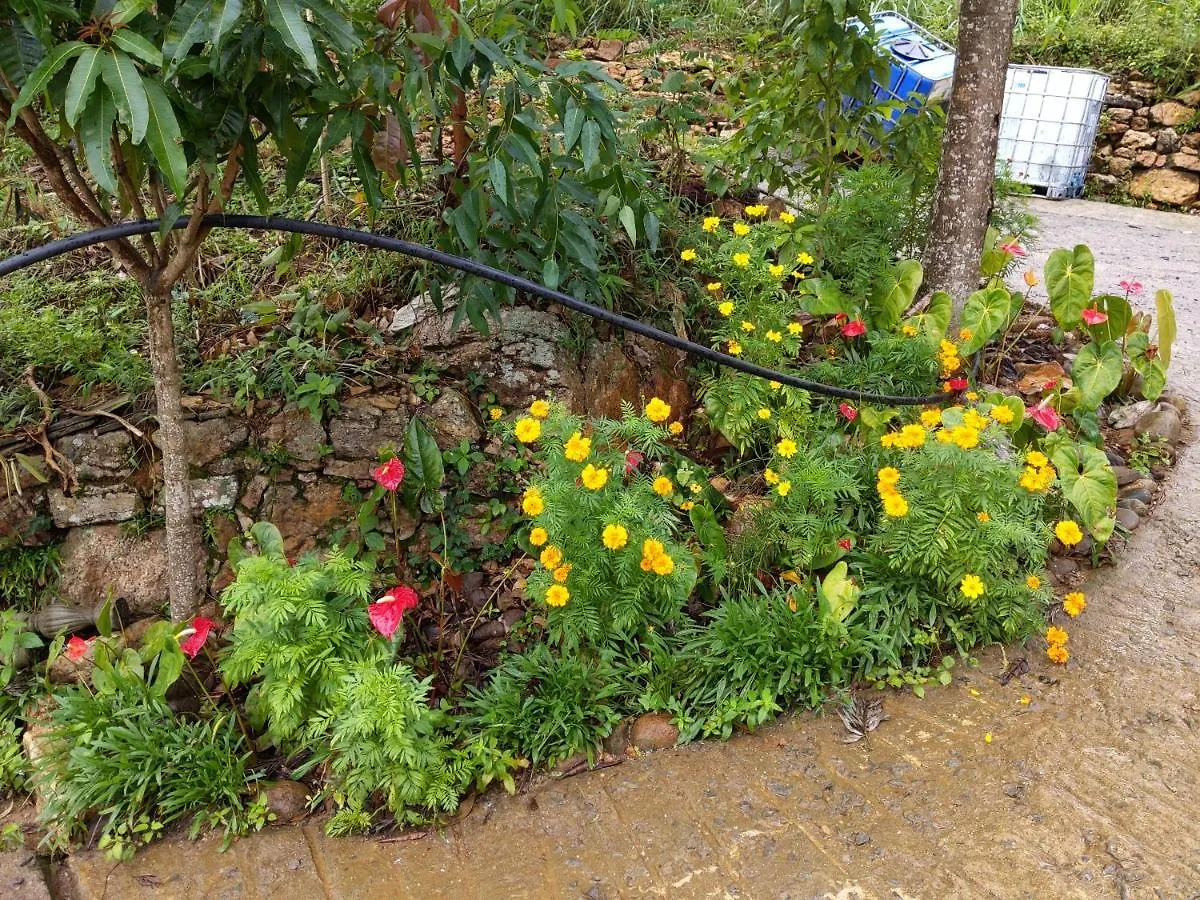 Rohana Estate Lodging & Camping Kandy Homestay