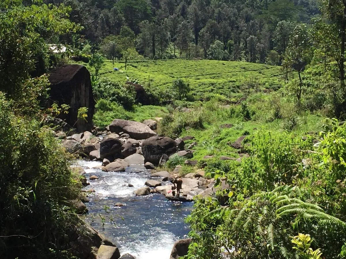 Rohana Estate Lodging & Camping Kandy Homestay