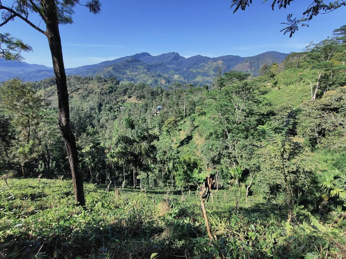 Rohana Estate Lodging & Camping Kandy 0*,