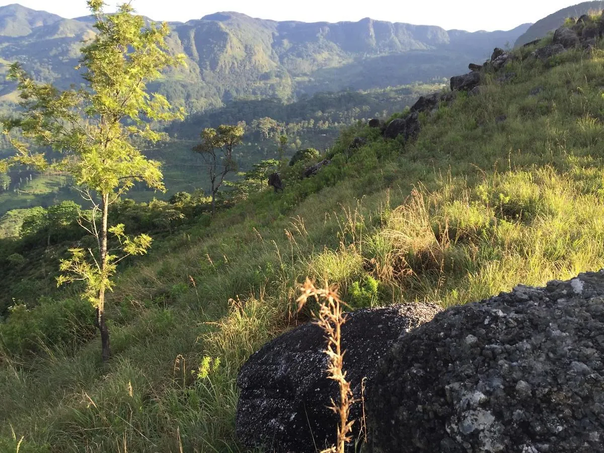 Rohana Estate Lodging & Camping Kandy Homestay