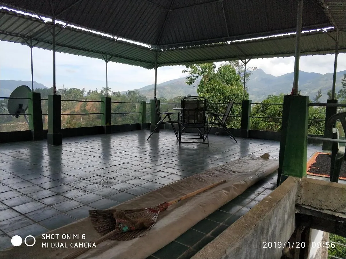 Homestay Rohana Estate Lodging & Camping Kandy Sri Lanka