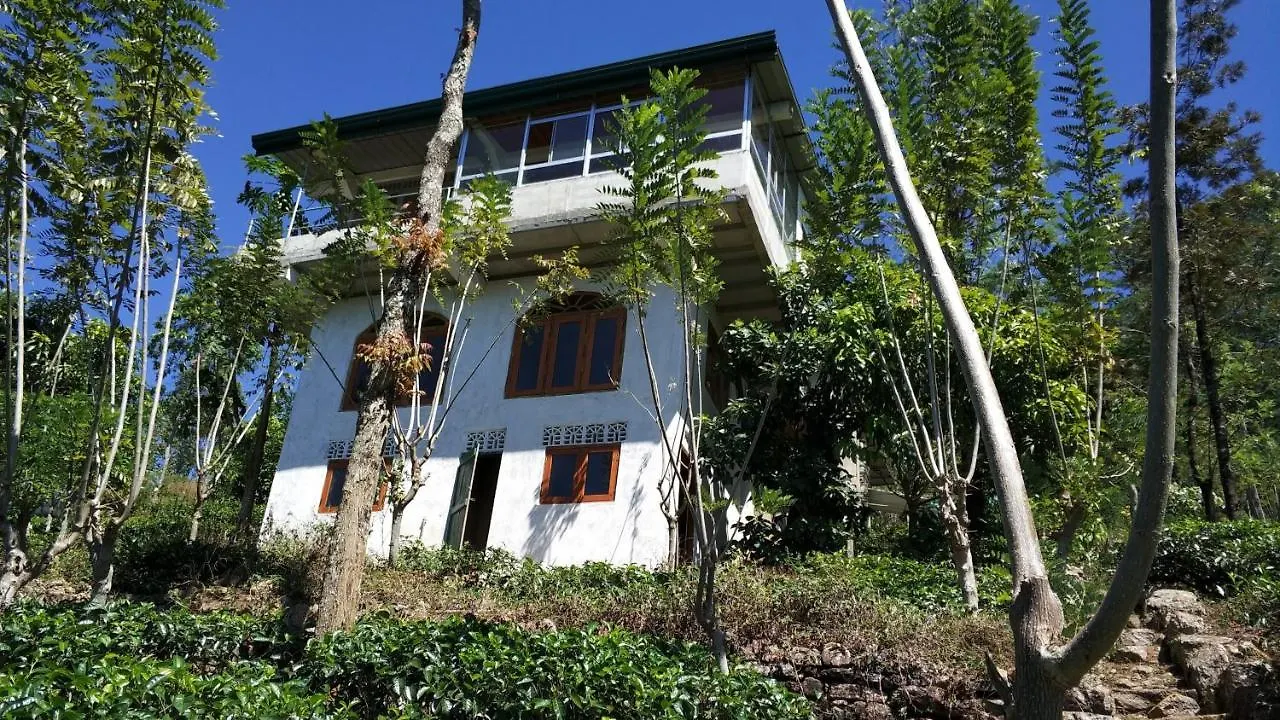 Rohana Estate Lodging & Camping Kandy Sri Lanka