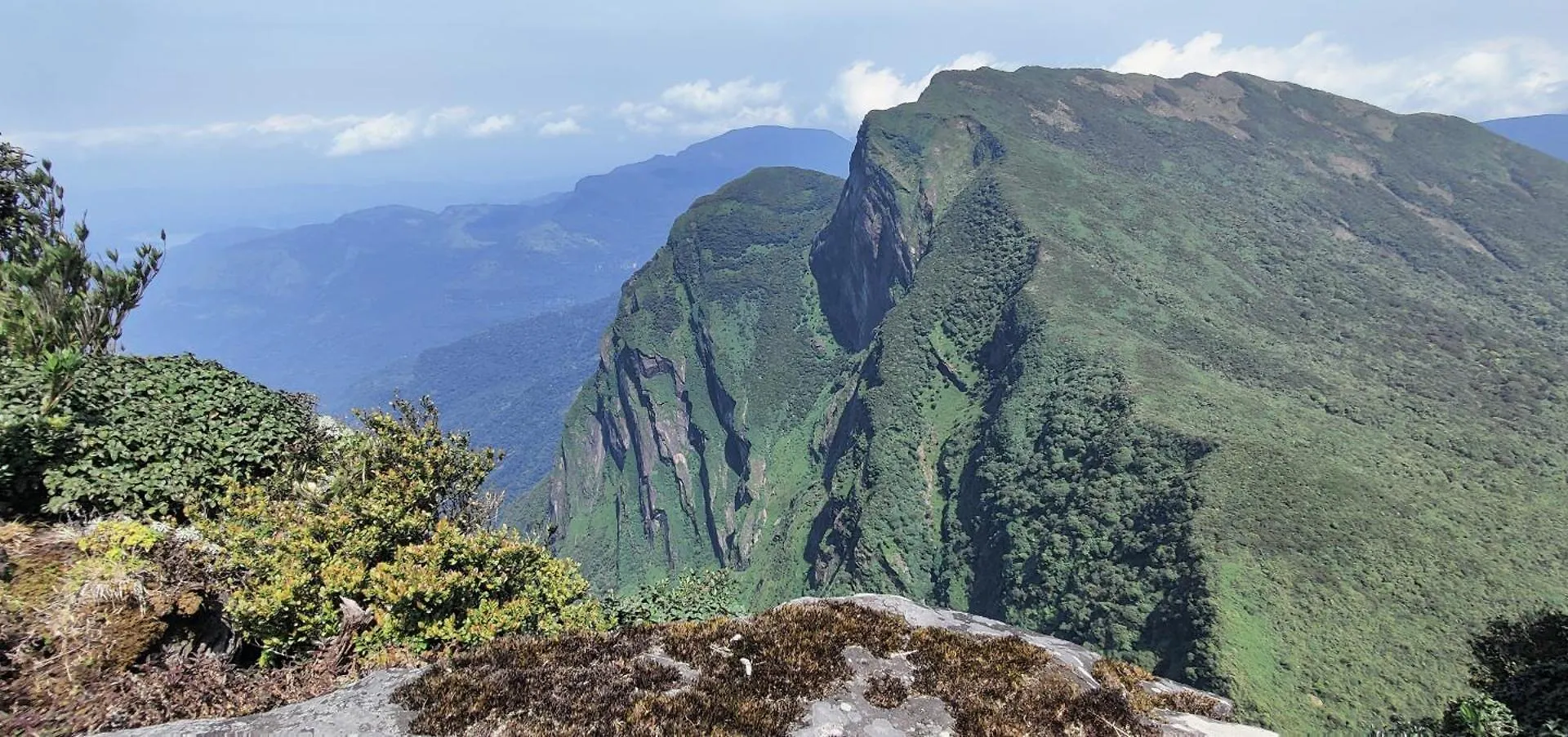 Rohana Estate Lodging & Camping Kandy Sri Lanka