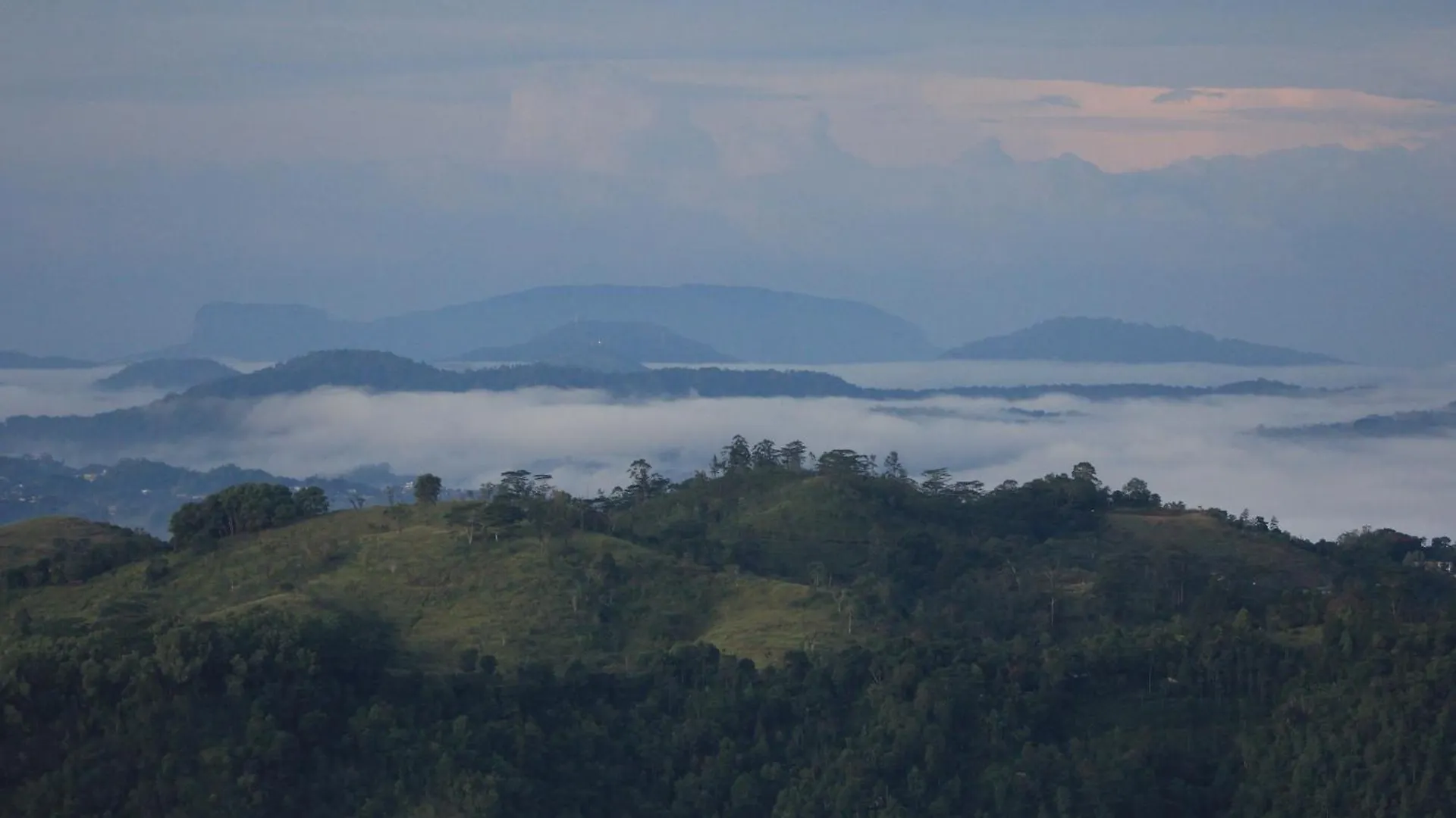 Homestay Rohana Estate Lodging & Camping Kandy