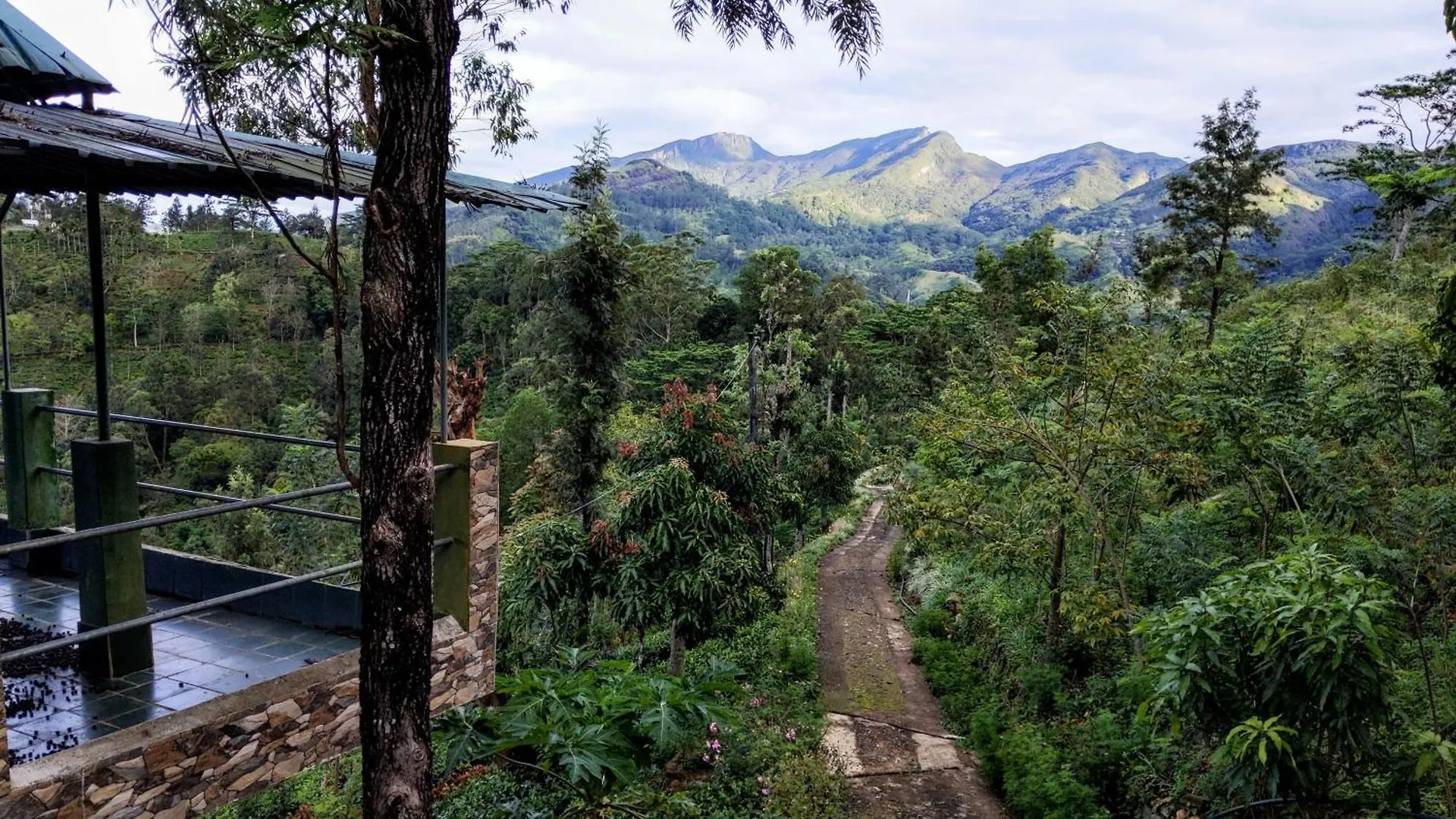 Rohana Estate Lodging & Camping Kandy 0*,