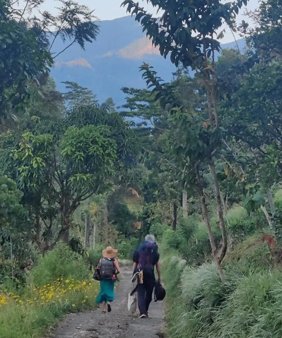 Rohana Estate Lodging & Camping Kandy Homestay