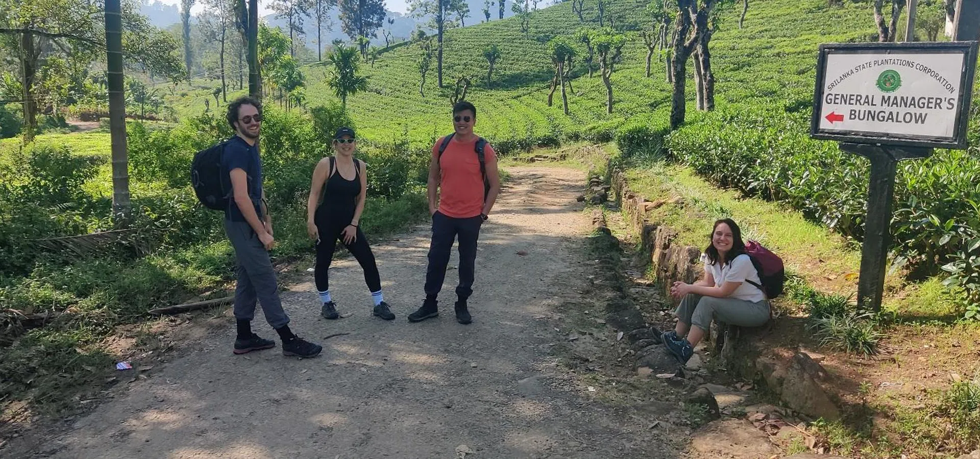 Rohana Estate Lodging & Camping Kandy