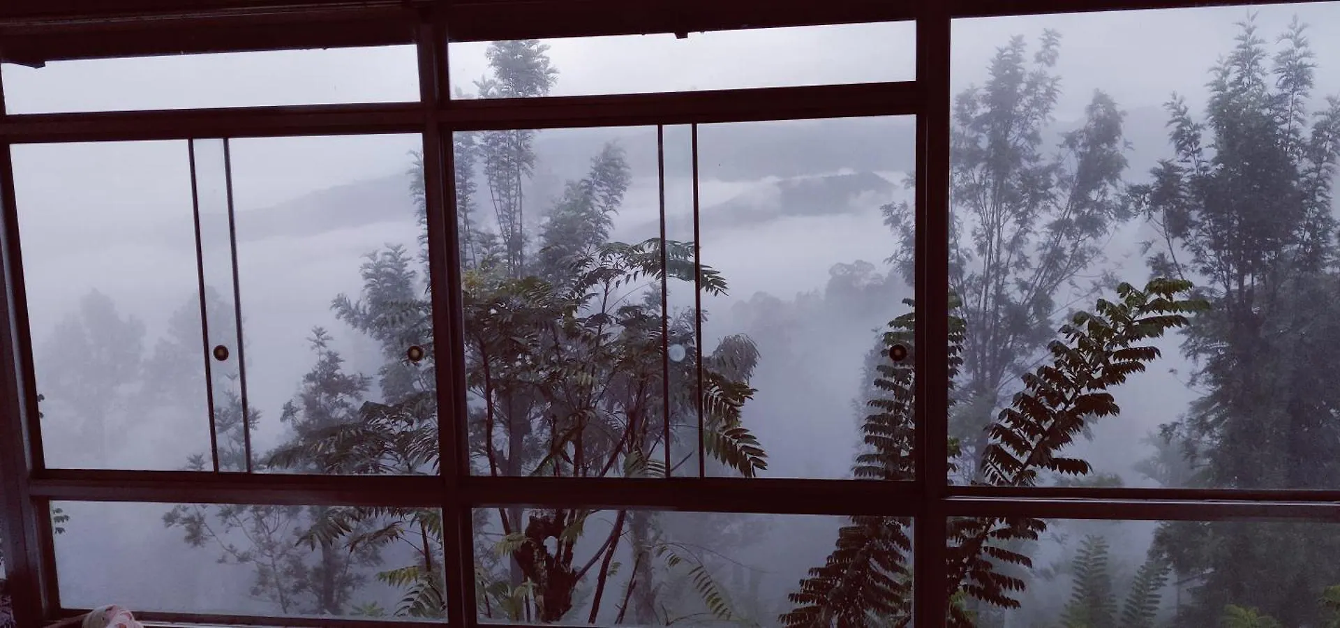 Rohana Estate Lodging & Camping Kandy Homestay