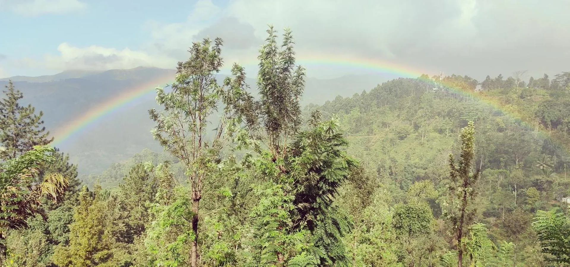 Homestay Rohana Estate Lodging & Camping Kandy