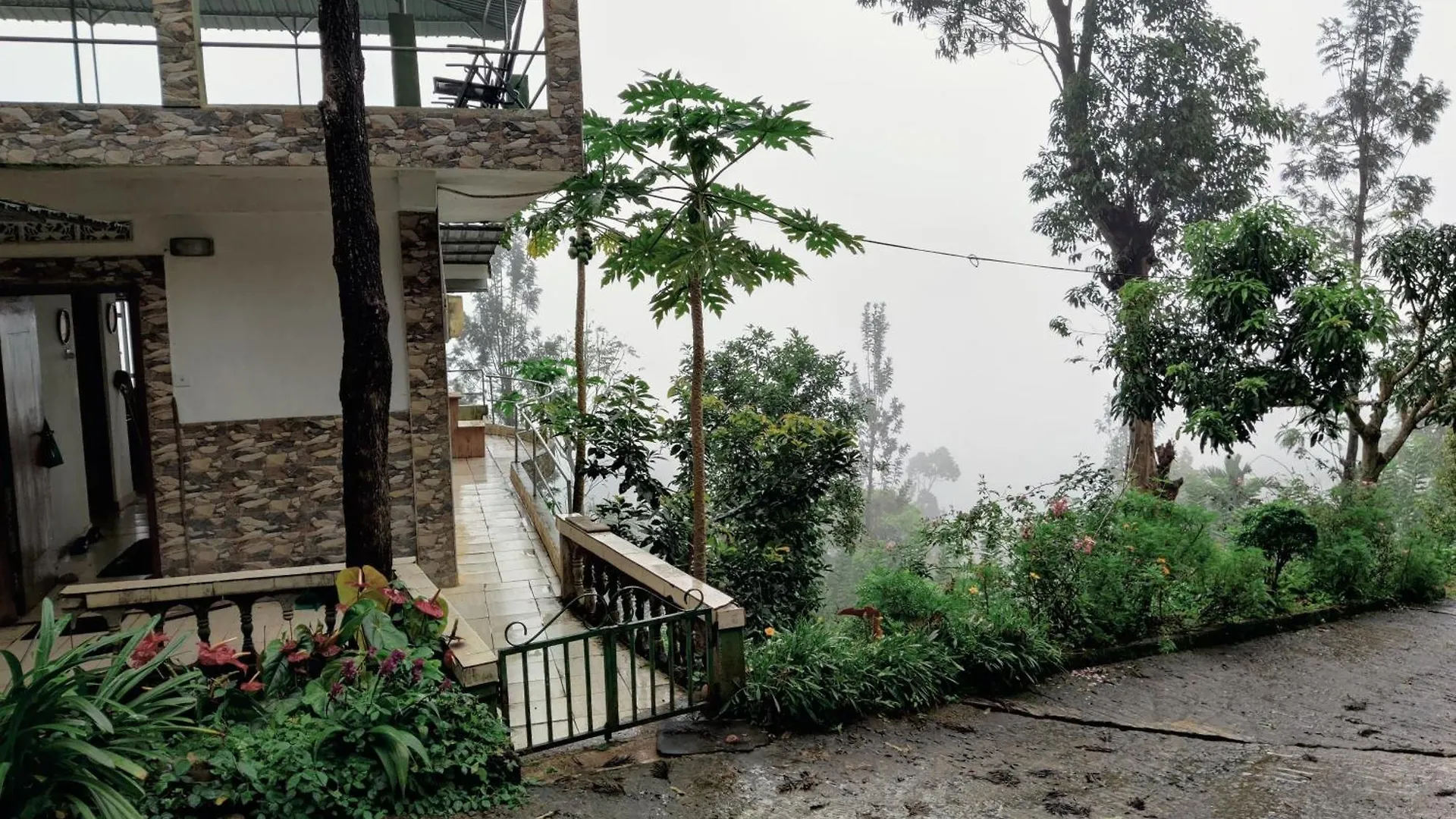 Rohana Estate Lodging & Camping Kandy 0*,  Sri Lanka