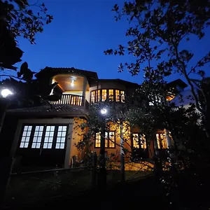 Mystique Hideout キャンディー