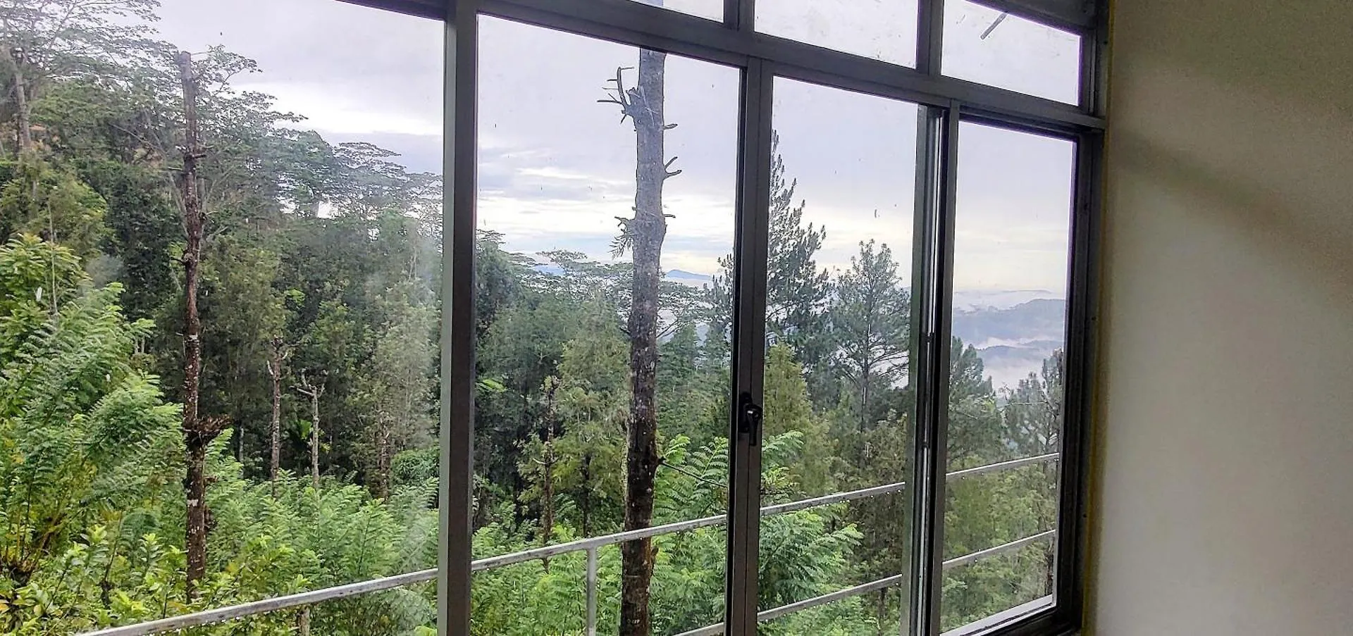 Homestay Rohana Estate Lodging & Camping Kandy Sri Lanka